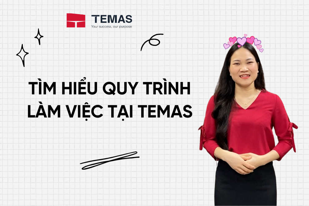 TÌM HIỂU QUY TRÌNH LÀM VIỆC TRÊN HỆ THỐNG TẠI TEMAS